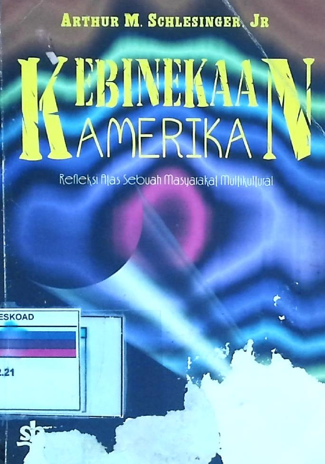 KEBINEKAAN AMERIKA